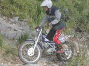 KIF_3238