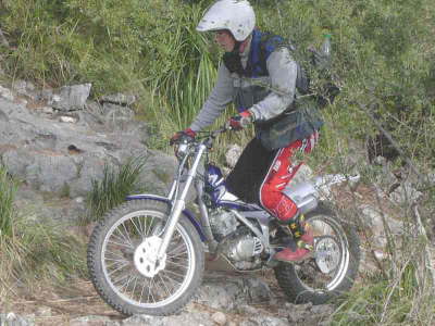 KIF_3238