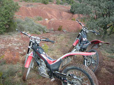 Koe 251